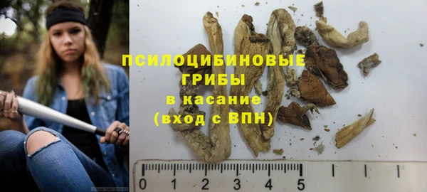 дмт Каменногорск