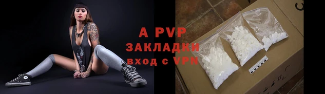 тгк Каменка