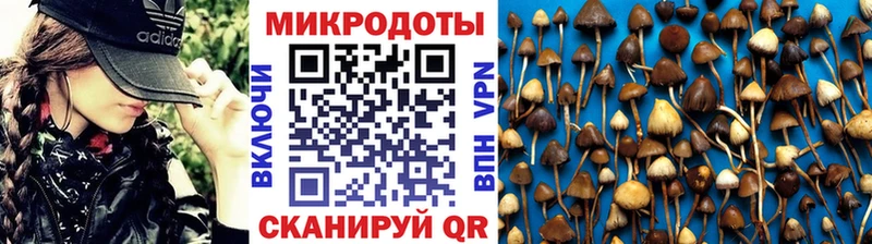 Псилоцибиновые грибы MAGIC MUSHROOMS  Купить закладки  Баксан 